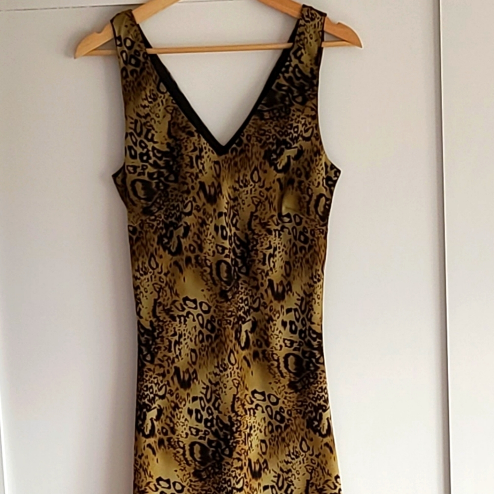 Full length animal print dress